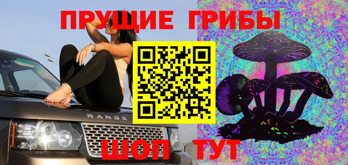 Псилоцибиновые грибы Psilocybine cubensis  Галлюциногенные грибы Cubensis  Качканар  Вход с VPN 