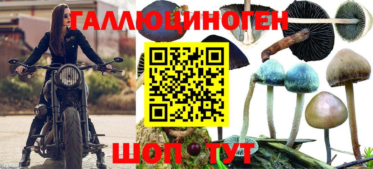 Псилоцибиновые грибы мухоморы Качканар